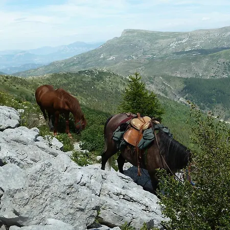 Des Monges Sisteron