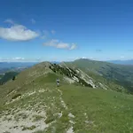 Des Monges Систерон