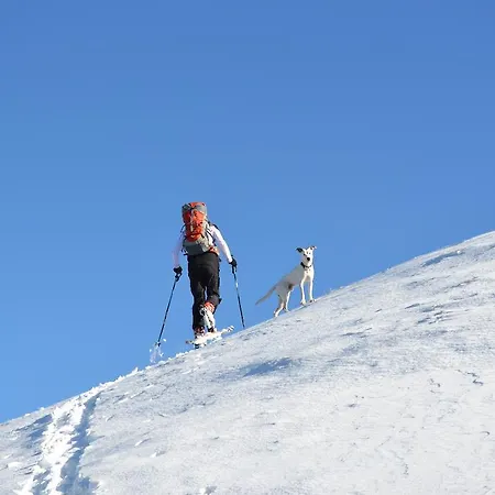 Des Monges * Систерон