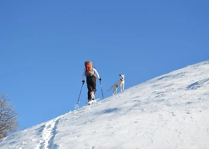 Des Monges * Sisteron